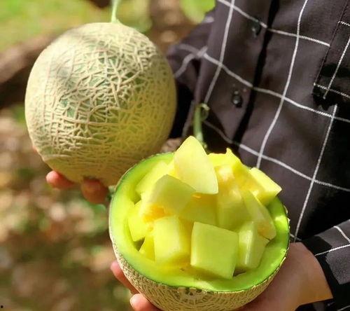 娱乐吃瓜壁纸,揭秘明星幕后故事，带你领略娱乐圈风云变幻